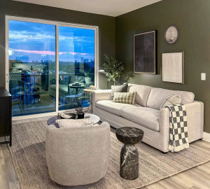 Luxury Apartment