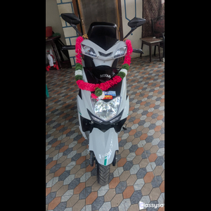 Check 
